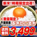 新米 25年産 千葉県産 あきたこまち10kg