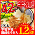 どんまい 楽天市場店 本場讃岐うどん 1.2kg(12食)